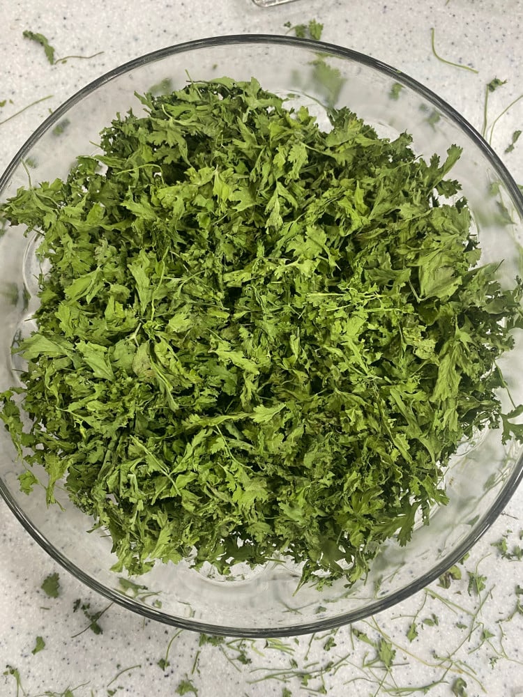 ورق كزبرة