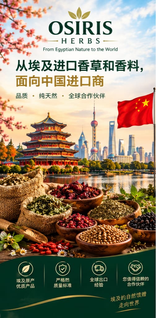 面向中国进口商的埃及香草和香料