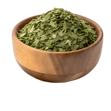 مورينجا