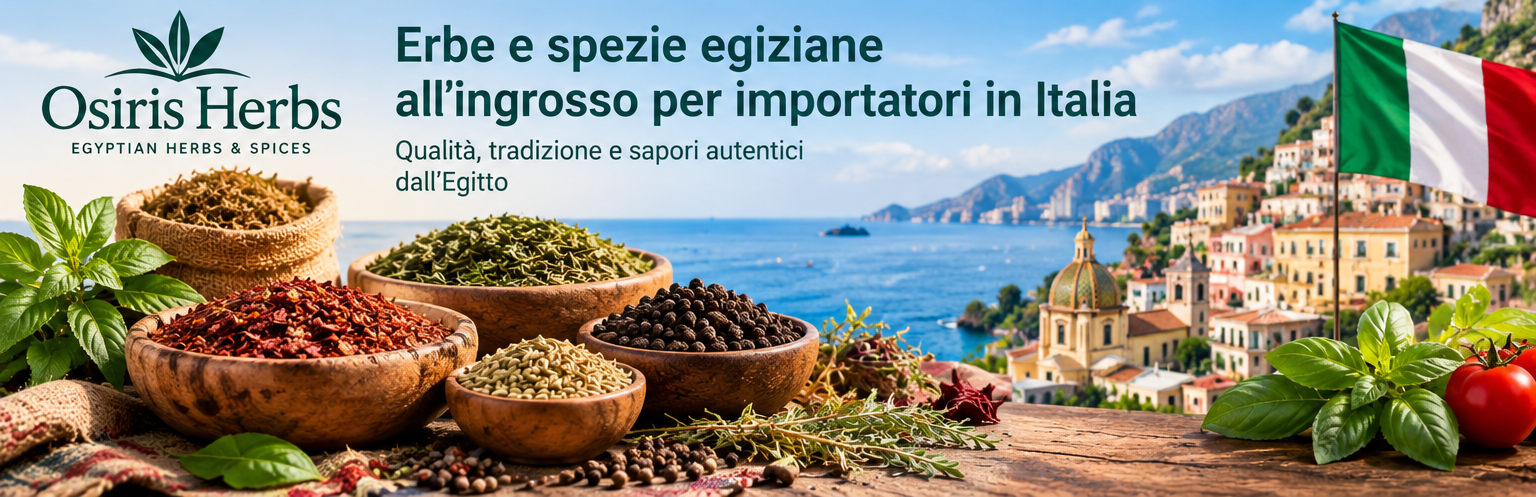 Erbe e spezie egiziane per importatori e grossisti in Italia