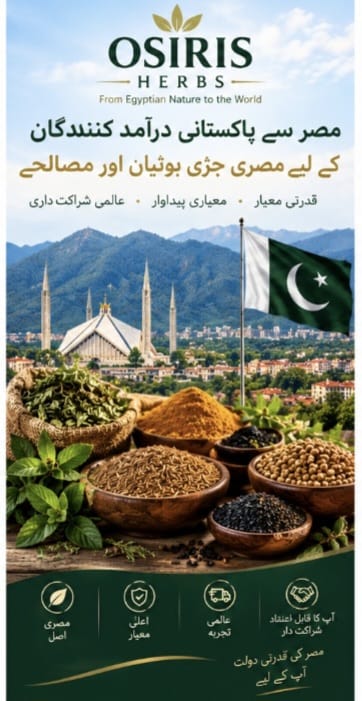 پاکستانی درآمد کنندگان کے لیے مصری جڑی بوٹیاں اور مصالحے
