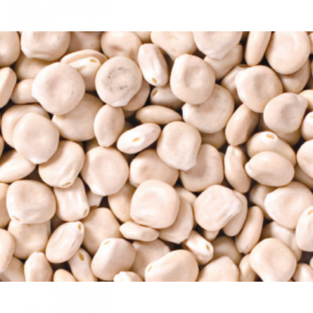 ترمس
